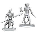 Pathfinder: Deep Cuts Miniatures - Vordine (Infantry Devil) & Pitborn Rogue (Wave 27)