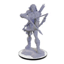 Pathfinder: Deep Cuts Miniatures - Wood Giant