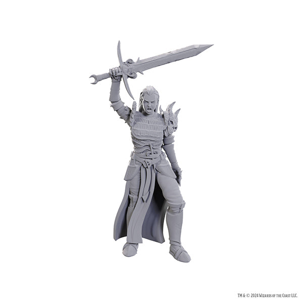 D&D: Nolzur's Marvelous Unpainted Miniatures - Blackguard (Wave 25)