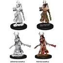 D&D: Nolzur's Marvelous Unpainted Miniatures - Female Human Druid (Wave 9)