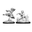 D&D: Nolzur's Marvelous Unpainted Miniatures - Female Human Monk (Wave 11)
