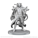 Wizkids: Critical Role - Mollymauk Tealeaf & Caduceus Clay
