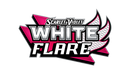 Pokemon White Flare - PTCGL Code