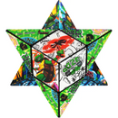 Shashibo Magnetic Puzzle Cube - TMNT (Raph)