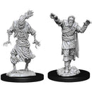 D&D: Nolzur's Marvelous Unpainted Miniatures - Scarecrow & Stone Cursed